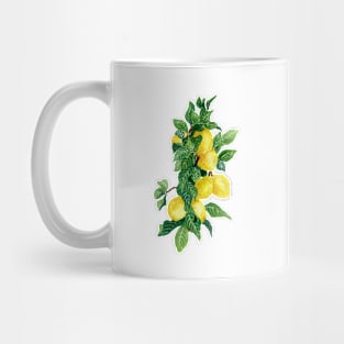 November 12th birthday flower Mug